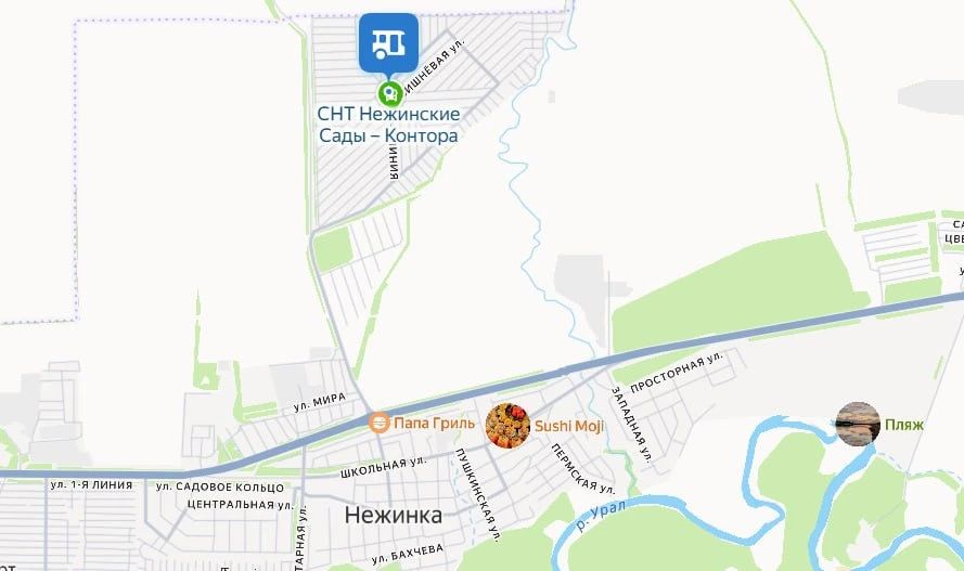 «Все знаки заросли давно»: В селе Нежинка в Оренбурге просят привести в порядок дорогу