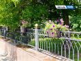 В Оренбурге высаживают тысячи цветов, но вандалы уже портят красоту