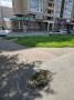 В центре Оренбурга на пешеходных дорожках образовались ямы