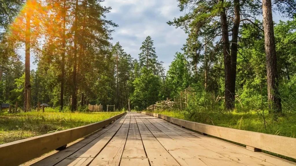 Туристический поток в Оренбуржье растёт: плюс 19% и новые стандарты комфорта