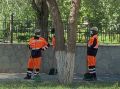 Мэр Оренбурга пожаловался на невозможность нанять дворниками северокорейцев, потому что они не согласны работать за 55 тысяч рублей