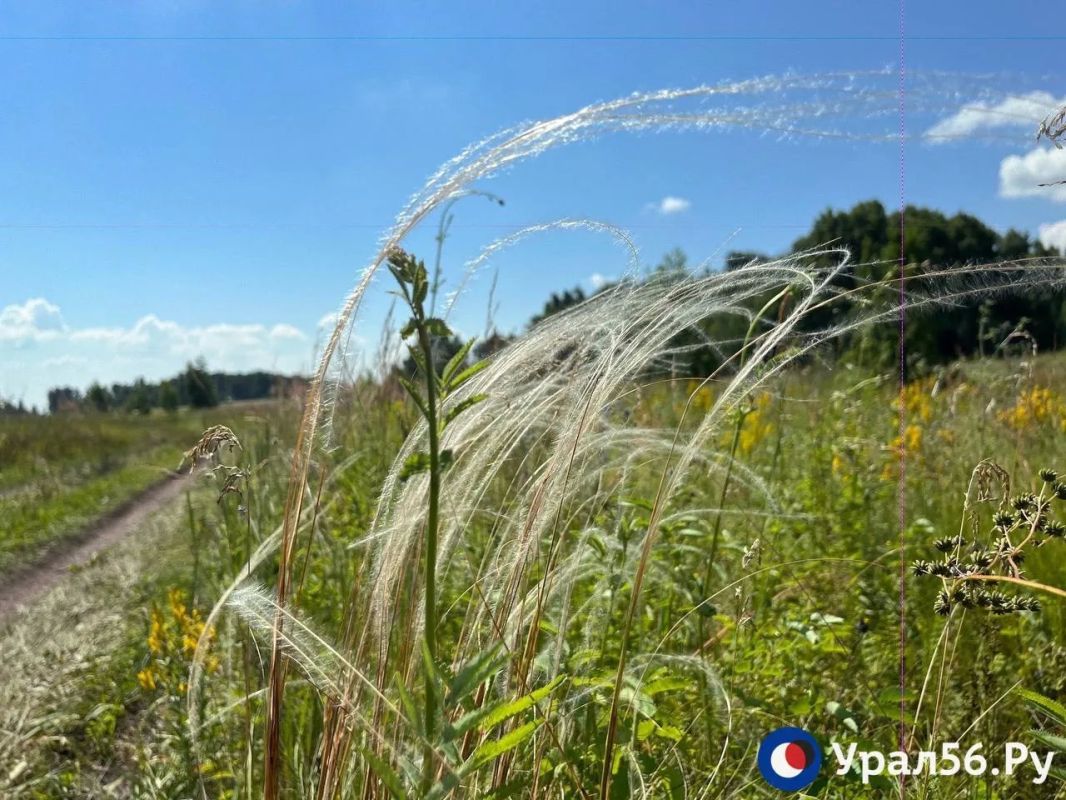 Просторы и природа Оренбургской области Просторы и природа Оренбургской области