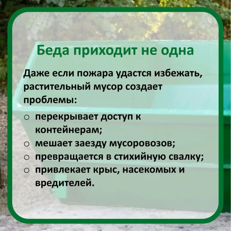 Это не просто мусор, это порох Это не просто мусор, это порох