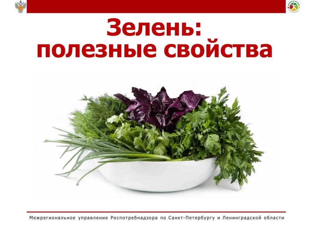 Зелень: полезные свойства. Зелень известна своими лечебными свойствами с древних времен