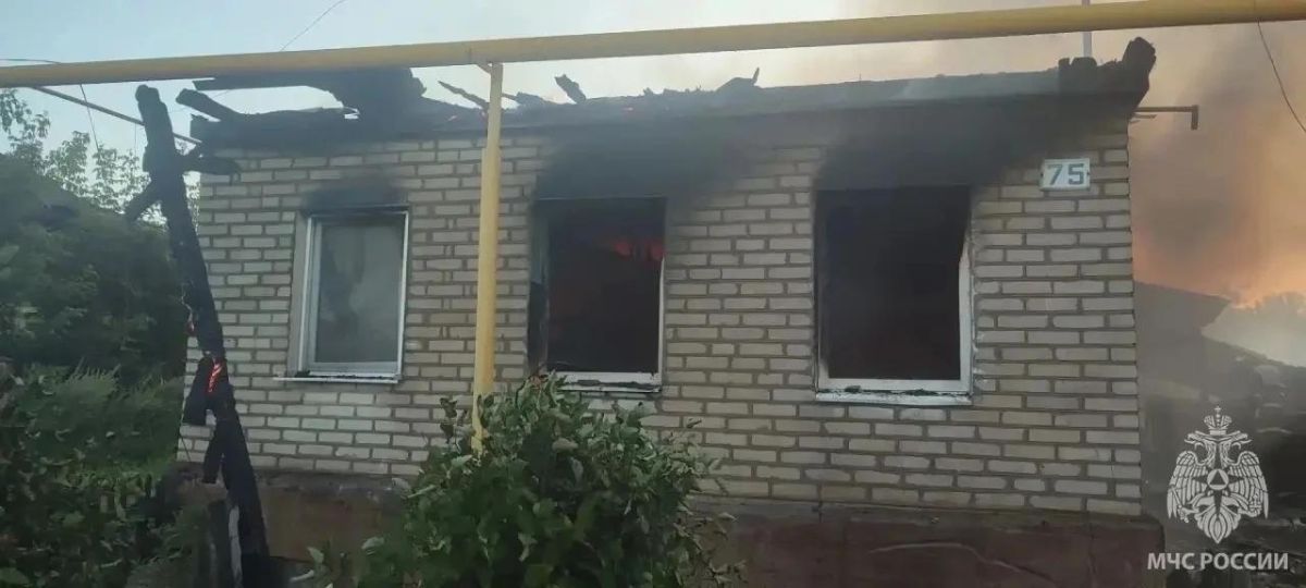 Более 120 вопросов решены в Оренбуржье в Единый день приема участников СВО Более 120 вопросов решены в Оренбуржье в Единый день приема участников СВО