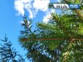 От гроз к сильной жаре: какой будет погода на этой неделе в Оренбуржье