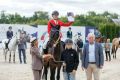 Оренбургские спортсмены успешно выступили на чемпионате и первенстве ПФО по конному спорту