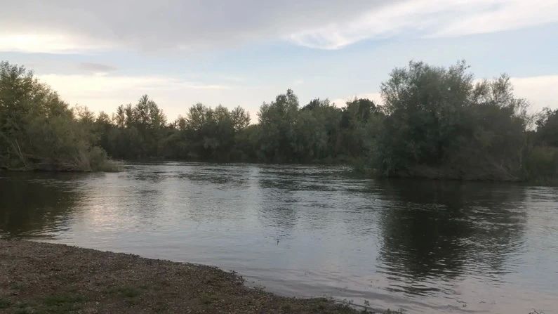 Предположительно утонувшего мужчину ищут спасатели в Переволоцком районе