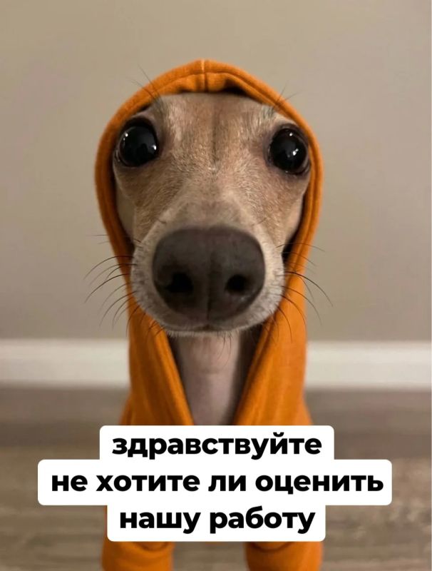 Есть что сказать о нашей работе?