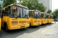 59 новых автобусов для школьников: Оренбуржье расширяет школьный автопарк