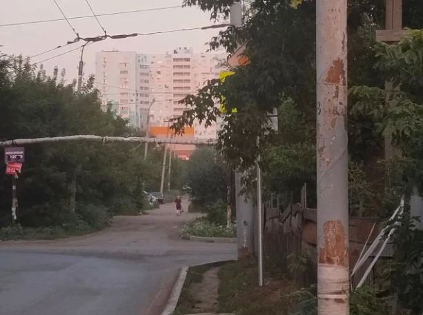 В Оренбурге новые дорожные знаки «спрятались» за деревьями В Оренбурге новые дорожные знаки «спрятались» за деревьями