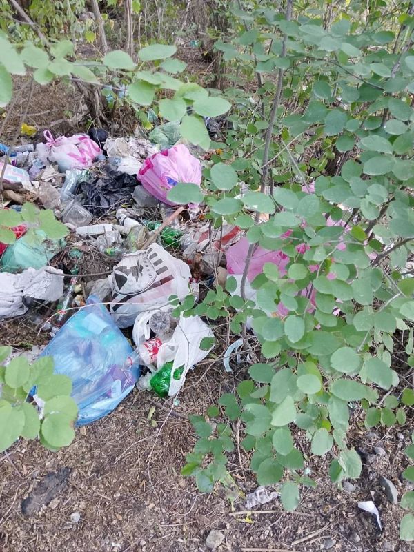 В Новотроицке около школы образовалась свалка строительных и бытовых отходов В Новотроицке около школы образовалась свалка строительных и бытовых отходов