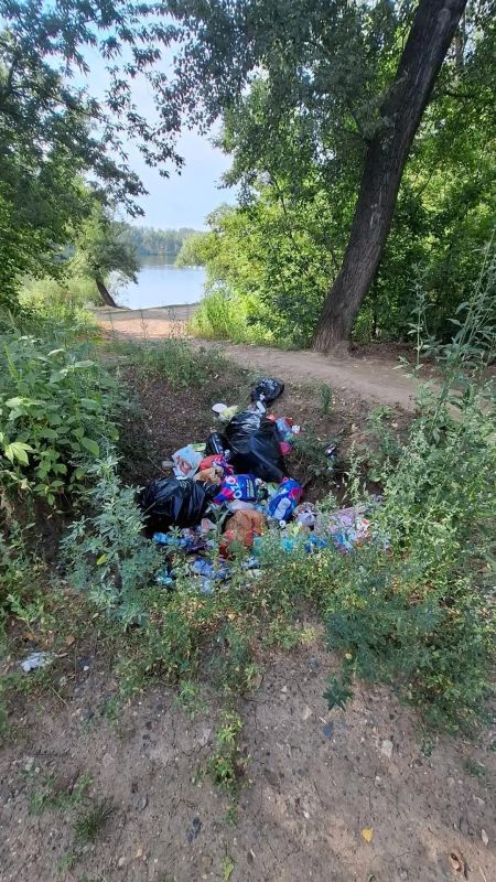 После отдыха остаются горы мусора: во что превратили берег старицы Урала в Оренбурге