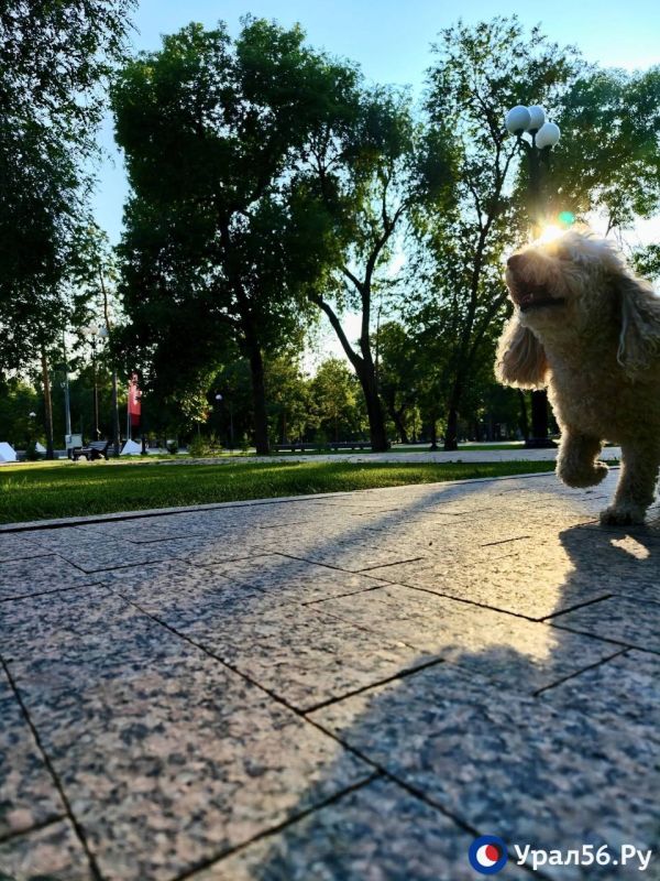 Вечерний жаркий Оренбург. Урал56.Ру в МАХ Вечерний жаркий Оренбург. Урал56.Ру в МАХ