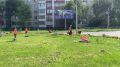Более 4,5 тысячи подростков Оренбуржья нашли работу с начала лета