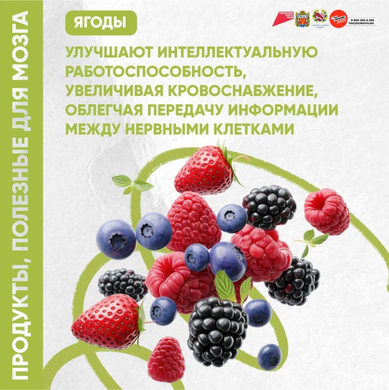 Жвачка для мозга или еда долгожителей Жвачка для мозга или еда долгожителей