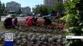 В ОРЕНБУРЖЬЕ ПОДРОСТКИ ВМЕСТО ОТДЫХА ВЫБРАЛИ РАБОТУ