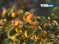 ���� ���������: ��������� ����������, ����� � ���������� ������ ����������