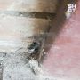 �������� �� ������: ������� ���� ��� ���������� ������ ����� ����� ����������� ����