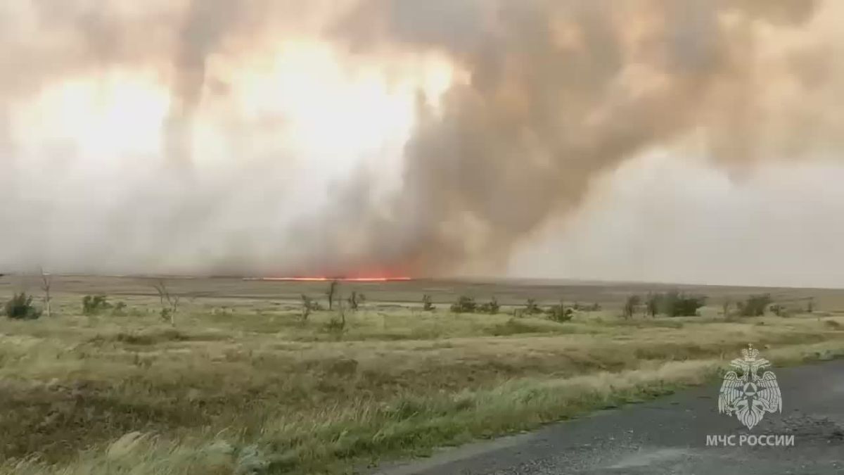 Крупный ландшафтный пожар в Домбаровском районе локализован: угрозы селам нет