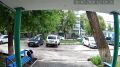 В Оренбурге дерево рухнуло спустя несколько секунду после того, как под ним прошли люди