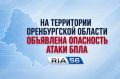 �� ���������� ������������ ������� ��������� ��������� ����� ����