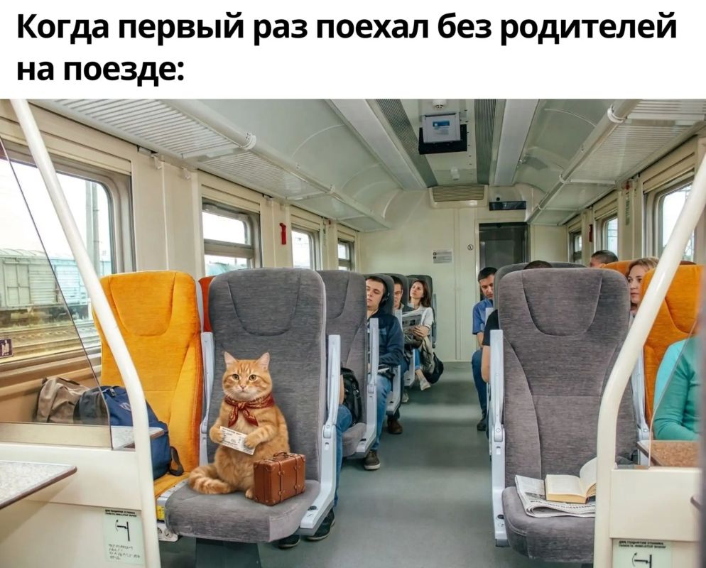 Сегодня, 2 августа, в России отмечается День железнодорожника Сегодня, 2 августа, в России отмечается День железнодорожника