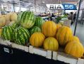 Оренбуржцам напомнили, как выбрать безопасный арбуз и правильно его хранить
