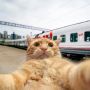 Сегодня, 2 августа, в России отмечается День железнодорожника