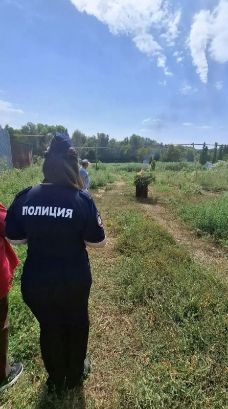 В Оренбургском районе сотрудниками полиции проведено мероприятие по уничтожению дикорастущей конопли