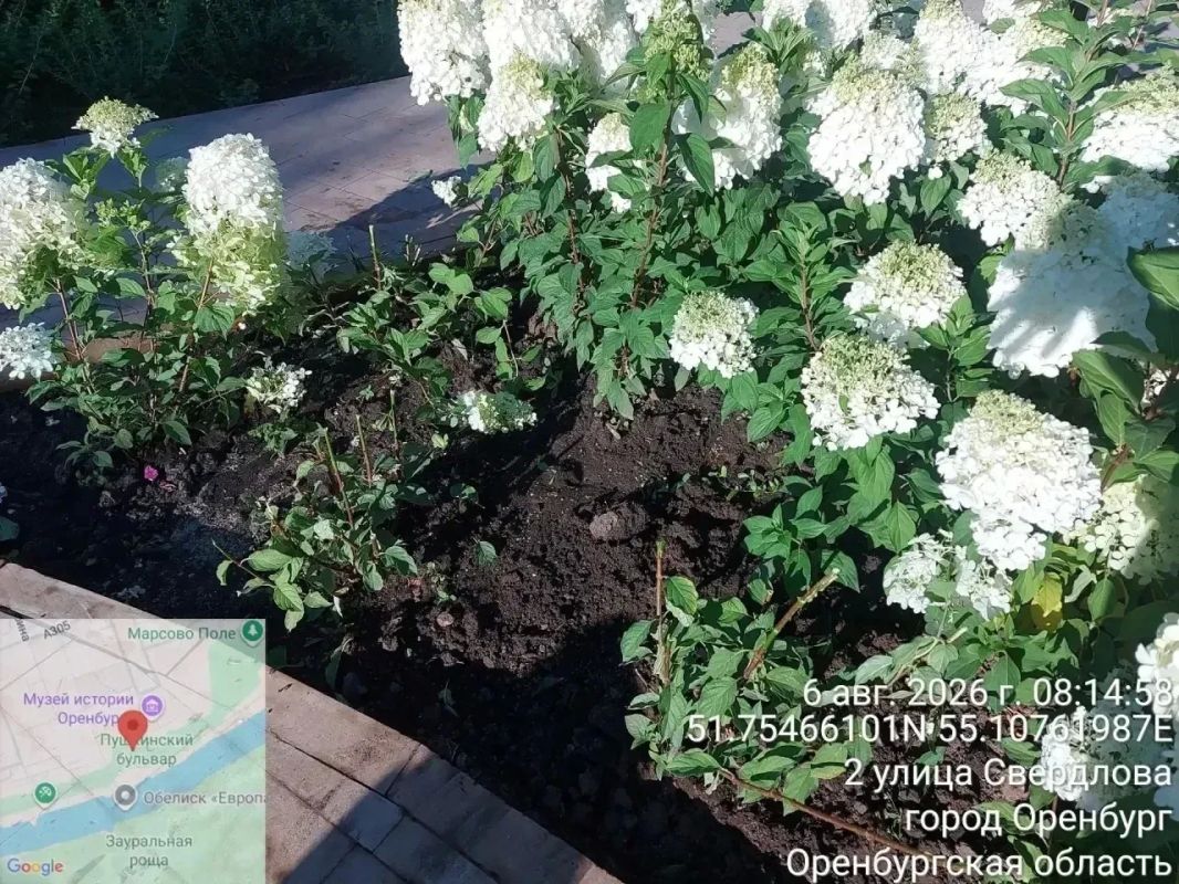 Очередной акт вандализма совершили «ценители прекрасного» Очередной акт вандализма совершили «ценители прекрасного»