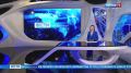 Оренбуржцы жалуются на заросли сорняков и амброзии во дворах и скверах