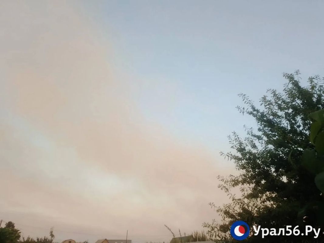 На востоке Оренбургской области горят поля На востоке Оренбургской области горят поля