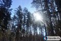 Для сохранности лесов в Оренбургской области закупят еще 25 камер видеонаблюдения