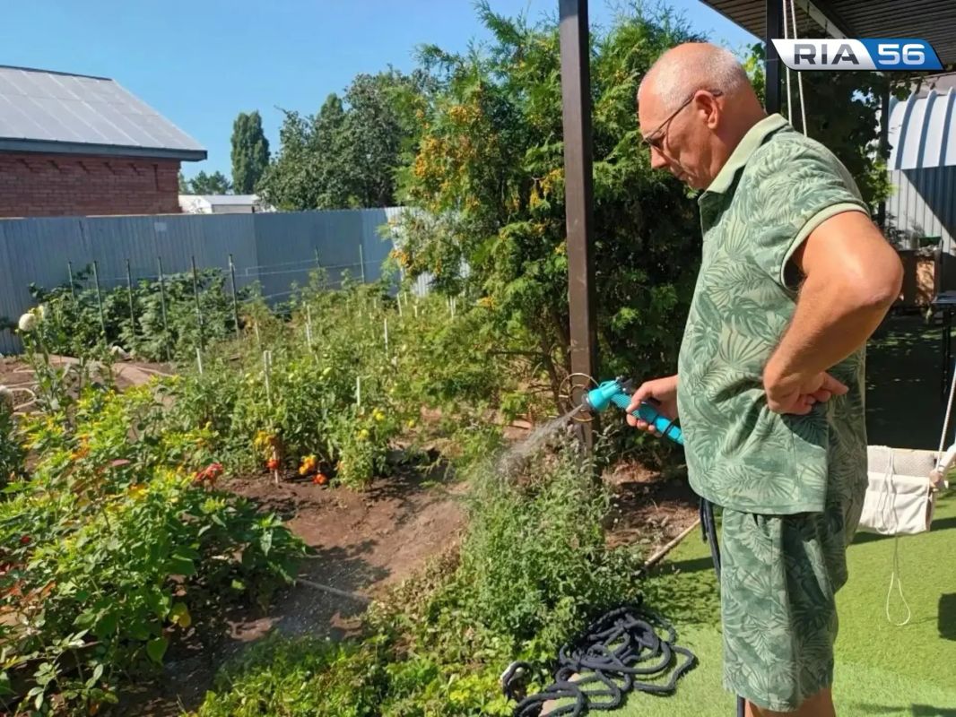 Как поливать огород в жару до +40 °C?