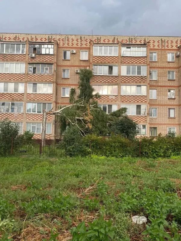 Ураган обрушился на запад Оренбуржья: больше всего стихия затронула Бузулук Ураган обрушился на запад Оренбуржья: больше всего стихия затронула Бузулук