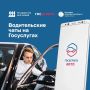 Водительские чаты в мобильных приложениях «Госуслуги Авто»