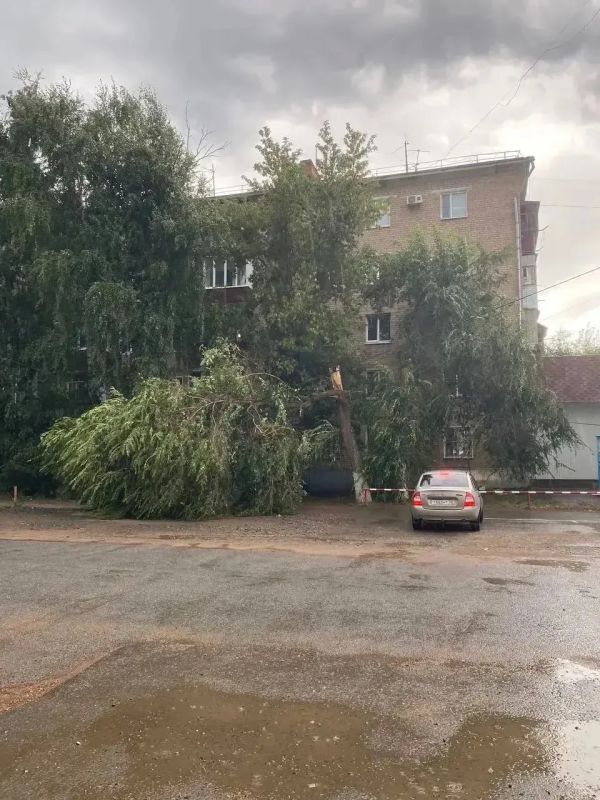 Ураган обрушился на запад Оренбуржья: больше всего стихия затронула Бузулук Ураган обрушился на запад Оренбуржья: больше всего стихия затронула Бузулук