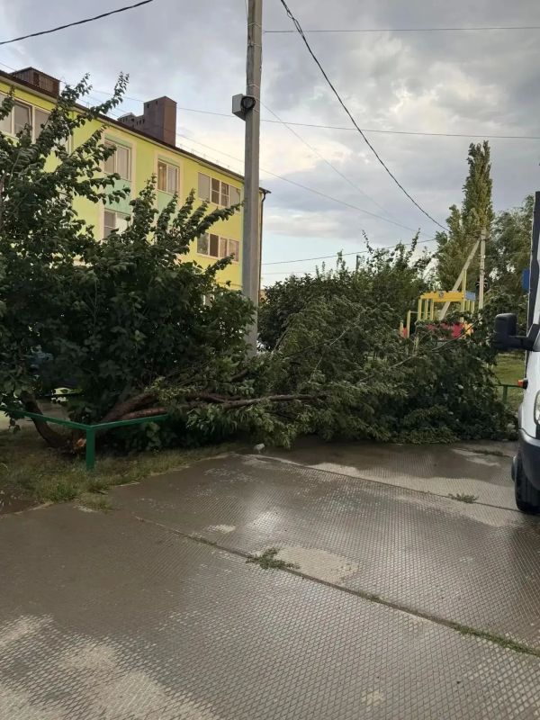 Последствия урагана в Бузулуке: ветер рвал провода, сносил крыши и валил деревья Последствия урагана в Бузулуке: ветер рвал провода, сносил крыши и валил деревья
