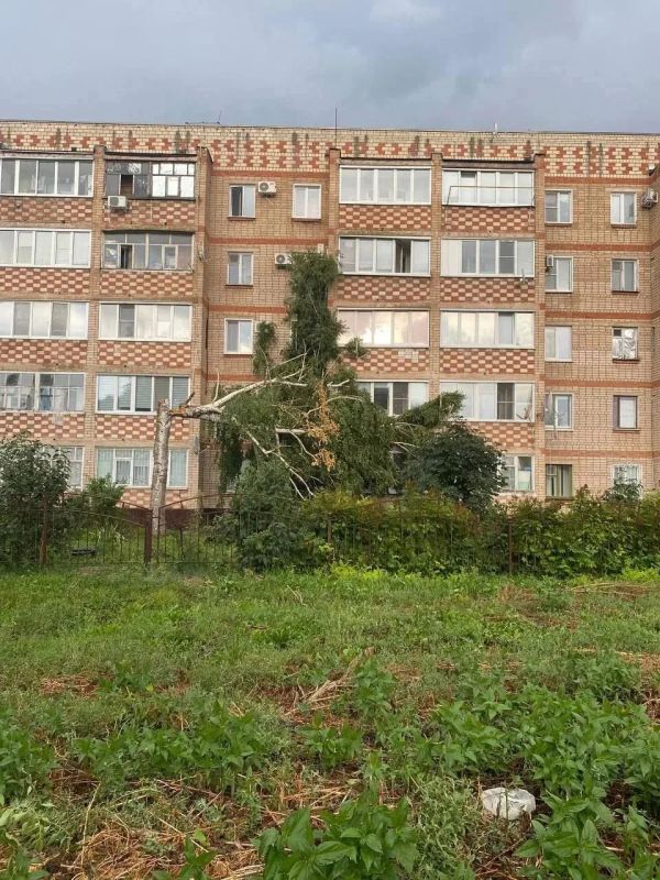 Последствия урагана в Бузулуке: ветер рвал провода, сносил крыши и валил деревья Последствия урагана в Бузулуке: ветер рвал провода, сносил крыши и валил деревья