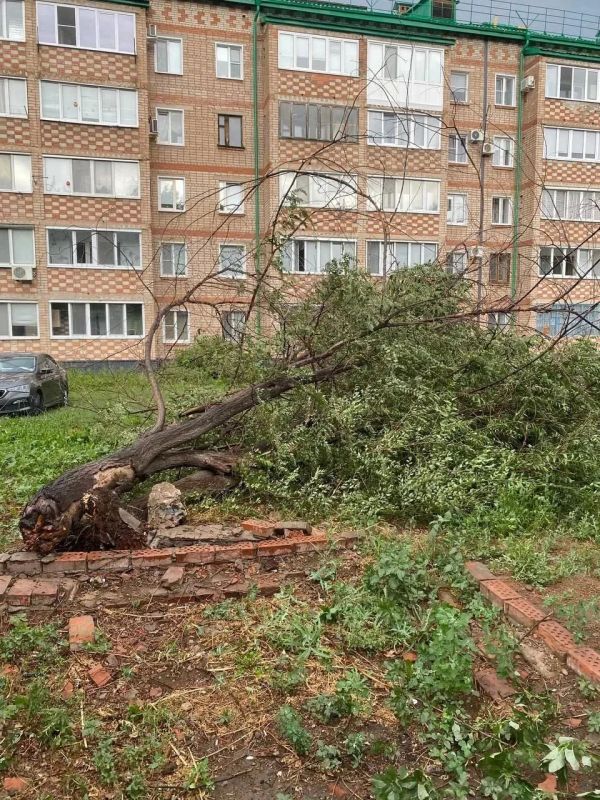Последствия урагана в Бузулуке: ветер рвал провода, сносил крыши и валил деревья Последствия урагана в Бузулуке: ветер рвал провода, сносил крыши и валил деревья