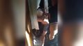 10 суток ареста за нападение на племянника: суд в Оренбурге наказал агрессора