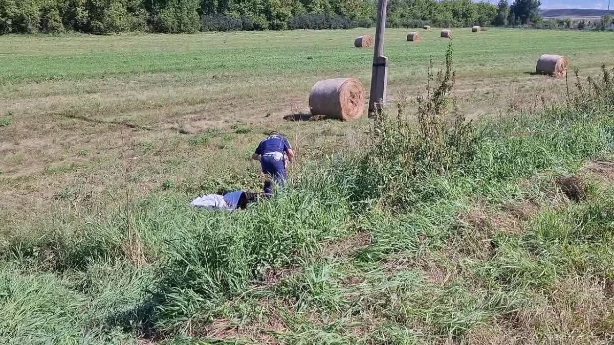 В Бугурусланском районе в результате ДТП погиб водитель мопеда