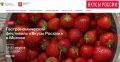 Оренбургские бренды едут на гастрофестиваль «Вкусы России»