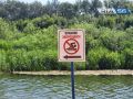 Дизентерия: какие ещё «паразиты» ждут оренбуржцев у таблички «купаться запрещено»