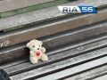 В четверг в Оренбуржье сохранится теплая погода