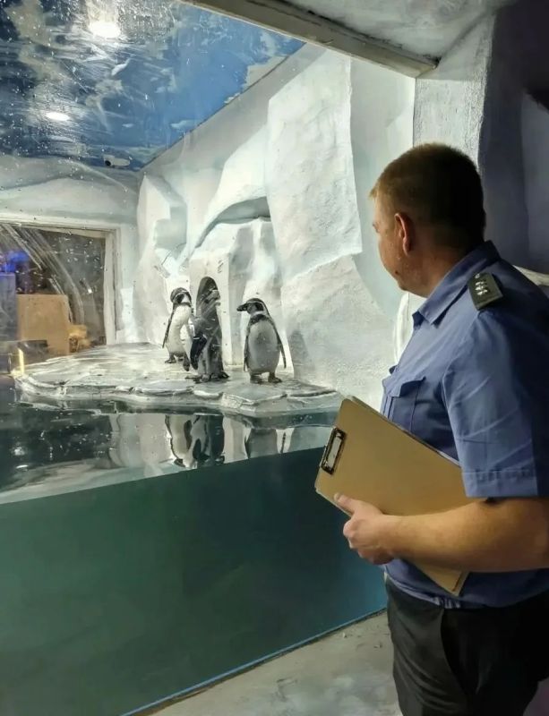 В Оренбурге официально открывается океанариум — Россельхознадзор выдал лицензию