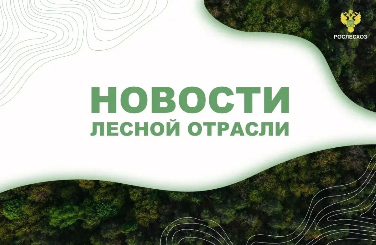 AK&M: Рослесхоз: в I полугодии 2026 года во ФГИС Лесного комплекса оказано свыше 726 тыс