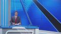 БУЗУЛУК ПРЕОБРАЖАЕТСЯ: СТАРЫЕ ДЕРЕВЬЯ МЕНЯЮТ НА НОВЫЕ- КАШТАНЫ