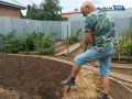 Перекапывать огород осенью или нет? Эксперт дал совет